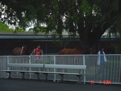 QLD KIDDA Clubhouse Grand Opening - photo 5